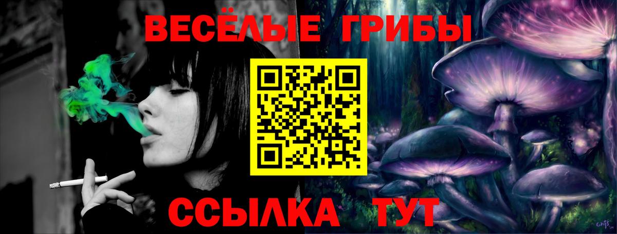 Усть-Джегута  Псилоцибиновые грибы мицелий  Вход с VPN 